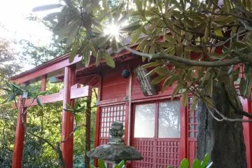 Plenty of shrines to visit nearby