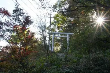 The view of Shirane Shrine from the room window