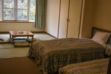 Twin room with tatami living area