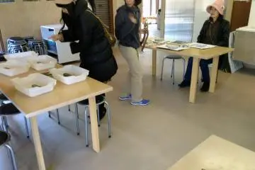 Preparation in the culture lab before carving deer antler at the Okumatsushima Jomon Village Museum.