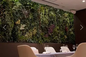 The jungle wall with live plants
