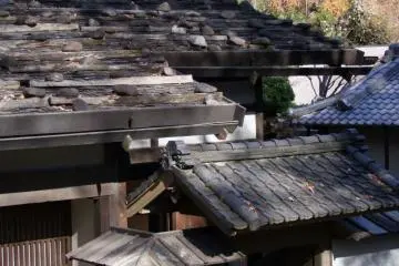 <p>ที่สวนได้มีอาคารญี่ปุ่นเก่าๆ (ส่วนใหญ่เป็นบ้าน) 24 หลัง ที่ได้เก็บรักษาไว้เป็นอย่างดี อาคารเหล่านี้ได้ย้ายมาจากสถานที่ดั้งเดิมทั่วประเทศญี่ปุ่น นักออกแบบสวนได้จัดกลุ่มบ้านเข้าด้วยกันโดยพื้นที่ ขึ้นอยู่กับสถานที่ดั้งเดิมของอาคารเหล่านี้</p>