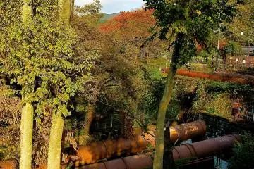Biwako Canal running through the forest