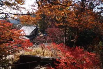 The view of a sea of red from a high viewing point.