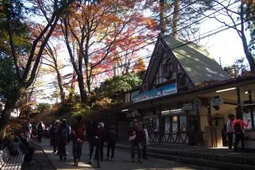 Monkey Park in Mt Takao.