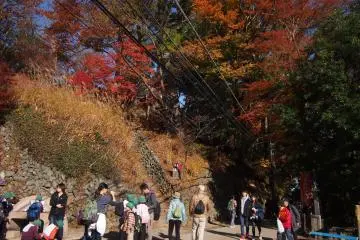 Children were having field trips to Mount Takao to view the beautiful koyo (fall foliage).