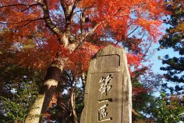 A monument in Yakuo-in temple decorated by nature.