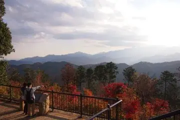 At the summit, you can view the other peaks surrounded Mount Takao. Mt Fuji is also visible on a clear day.