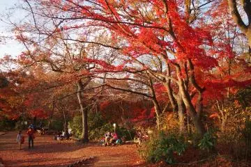 Be surrounded by red all around.