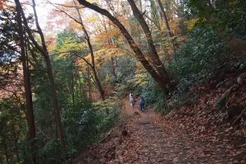 There are several routes to descend and information is easily available at the Visitor Center at the summit.. I chose Route 4, or the Forest & Animals Course (40 minutes).