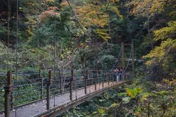 Route 4 has a little suspension bridge that hangs over the thick foliage of the forest.