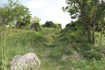 <p>Follow the foot trails worn into the grass to find the way to the cliff side views of the ocean and northern Okinawa</p>