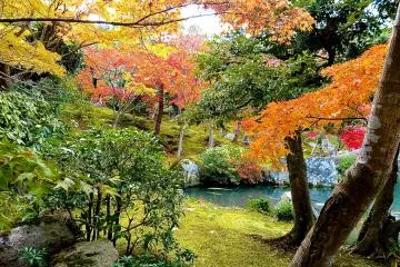 <p>Autumn leaves in Hyakka-en Garden</p>