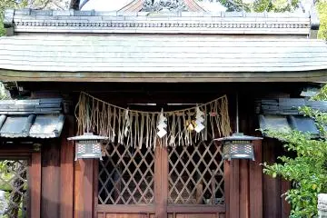 Gallery image