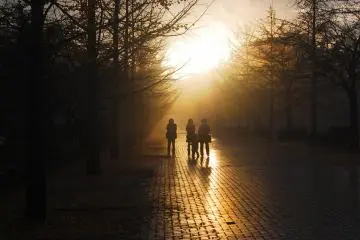 A family plays in the park in the sunset