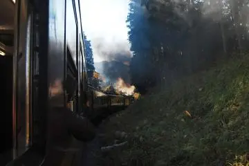 ทางรถไฟคดเคี้ยวผ่านป่า