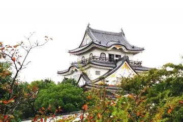 Gallery image