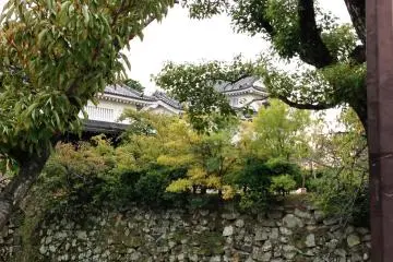 <p>Kishiwada Castle has a beautiful strolling garden and makes a great day trip from Osaka or Kansai Airport&nbsp;</p>