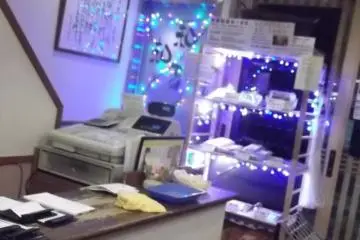 Gallery image