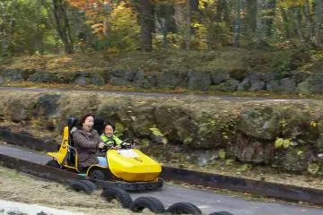 Zoom through the Go Kart course laughing