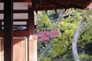 A visitor enjoying a different part of the garden