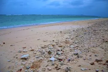Air hijau kebiruan dan pasir putih dengan banyak kerang