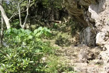 The trail to the top isn't particularly long, but most of it is surrounded by limestone rock, dense vegetation, and steep drop-offs down the hill below