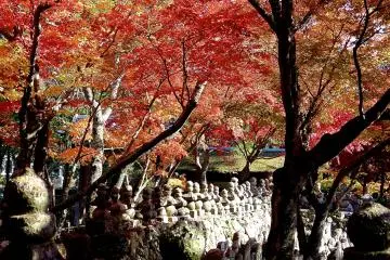 Hundreds of stone statues under lovely colorings