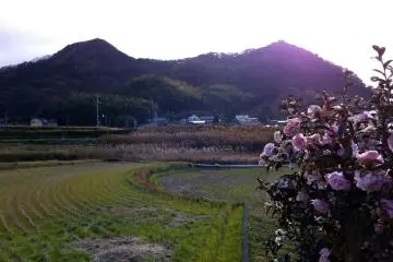 The two peaks of Fufuyama