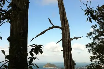 The view to the sea