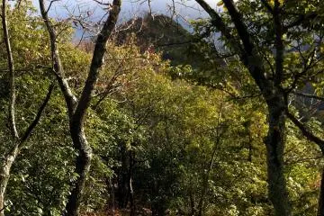 On the ridge