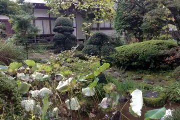 <p>A small nook of green and pond in&nbsp;Gyokusenji Temple in the town of Tsuruoka, Yamagata Prefecture</p>