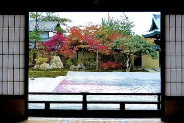 Looking out from Hojo Hall