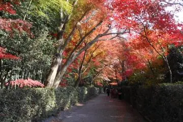 Heirinji Zen Temple, Niiza City