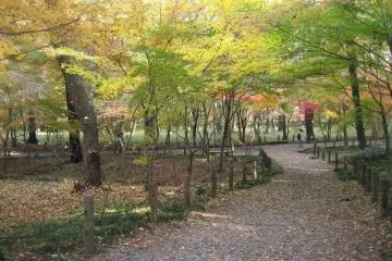 화려한 숲을 가로질러 당신을 이끄는 멋지고 편안한 산책로가 있다