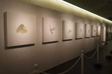 Exhibiting the work of local artists.&nbsp;