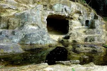 Gallery image
