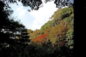 ทางเดินหินสู่วัดซุยเซน-จิ