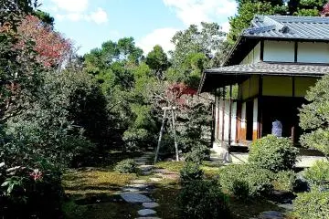 Stone steps toward the teahouse
