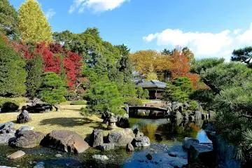 Pond in the garden