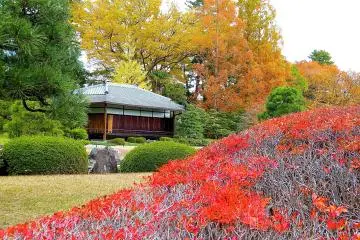 Another teahouse (not open to public)