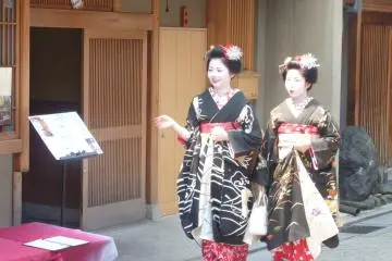 게이코와 마이코가 핫사쿠에서 검은 기모노를 입는 것은 관습이다