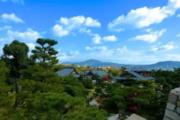 <p>Bird&rsquo;s-eye view of Nijo-jo Castle</p>