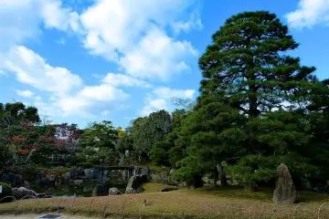 <p>Ninomaru Garden</p>