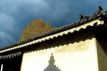 Kyoto Nijo-jo Castle’s Gardens