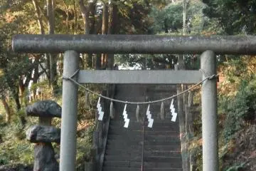 <p>ประตูโทริอิที่พาไปสู่บริเวณด้านหลังของศาลเจ้า</p>