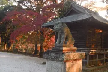 <p>วันในฤดูใบไม้ร่วงที่สดชื่น ที่วัดแคนน่อน</p>