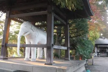 The white elephant, standing guard