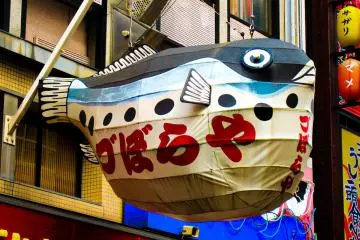 Blowfish at Zuboraya [Cerrado]