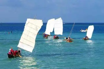 <p>A college professor, is just as likely to be pulling the paddle.</p>